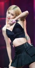 BLACKPINK成员rose朴彩英气质舞台照，生活照，写真图片合集