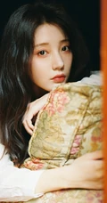 安泳畅唯美气质复古居家写真