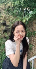 女子演唱组合BLACKPINK成员金智秀清新写真，舞台照图集