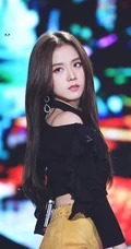 女子演唱组合BLACKPINK成员金智秀清新写真，舞台照图集