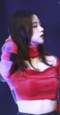 女子演唱组合BLACKPINK成员金智秀清新写真，舞台照图集