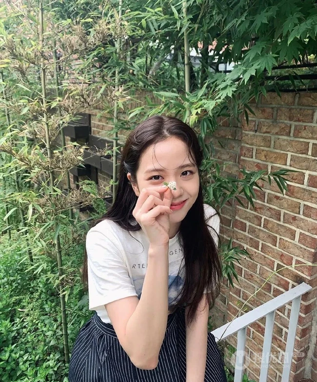 女子演唱组合BLACKPINK成员金智秀清新写真，舞台照图集