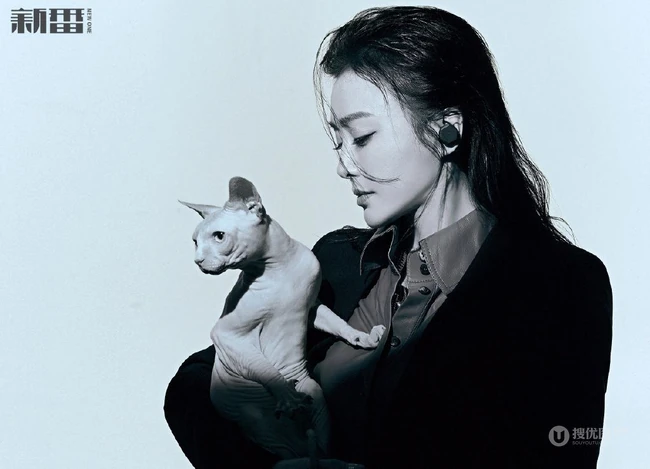 秦岚又酷又美杂志写真，多种街头风潮流造型，打造千变女人