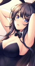 兔耳朵，主题造型，二次元动漫女生紧身死库水，袜装主题造型插画美图