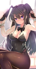 兔耳朵，主题造型，二次元动漫女生紧身死库水，袜装主题造型插画美图