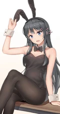 兔耳朵，主题造型，二次元动漫女生紧身死库水，袜装主题造型插画美图