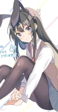 兔耳朵，主题造型，二次元动漫女生紧身死库水，袜装主题造型插画美图
