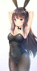 兔耳朵，主题造型，二次元动漫女生紧身死库水，袜装主题造型插画美图