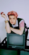 EXO-SC小分队成员朴灿烈、吴世勋回归预告照片，二人同框帅气十足