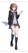 穿乐福鞋的少女，二次元里穿乐福鞋，袜装的动漫女生精选高清图片