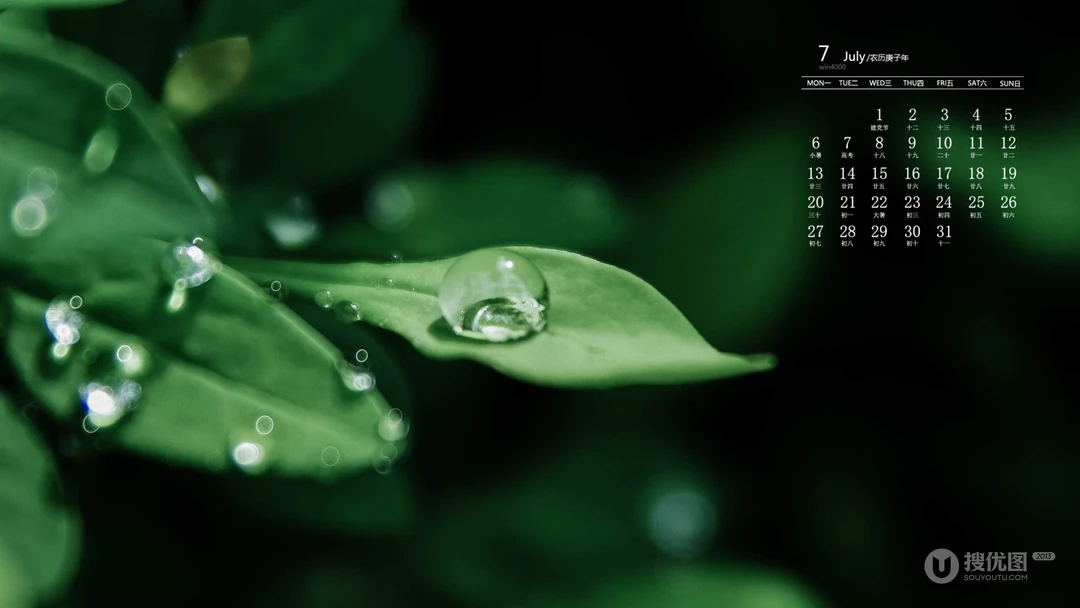 高清微距下的青青绿叶壁纸，2020年7月日历养眼绿色壁纸图片