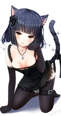 喵呜！喵少女图片居多，二次元动漫喵少女好看插画图片图集