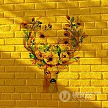 黄色头像，简单简约的黄色系背景唯美静物，建筑，花等头像图片