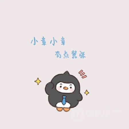 可爱的卡通小企鹅头像，带有姓氏的可爱卡通动物企鹅头像图片