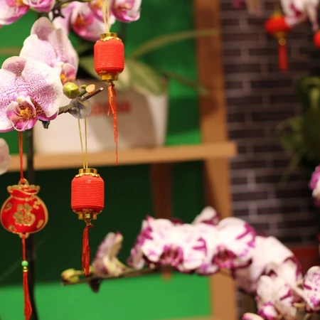 装饰用的小灯笼，挂在盆栽花卉植物的可爱小灯笼唯美背景图片