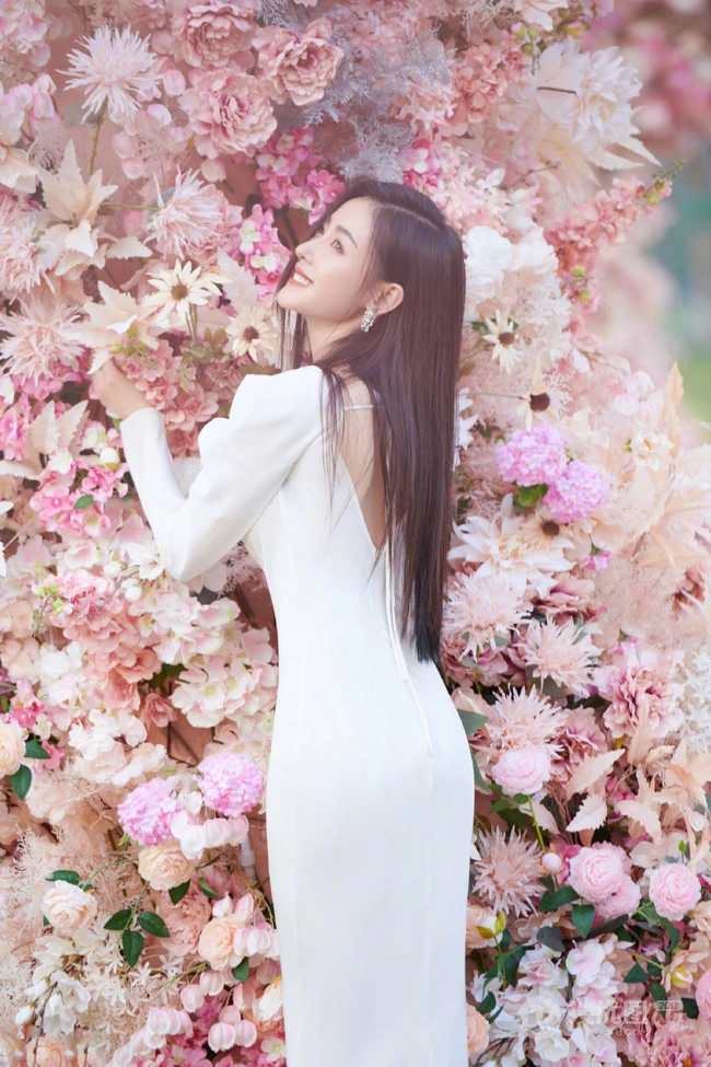 张天爱仙气飘飘V领白裙花海花墙钱超美写真图片