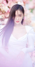 张天爱仙气飘飘V领白裙花海花墙钱超美写真图片
