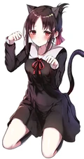 二次元女生，漫画《辉夜大小姐想让我告白》精选动漫少女图片合集39p