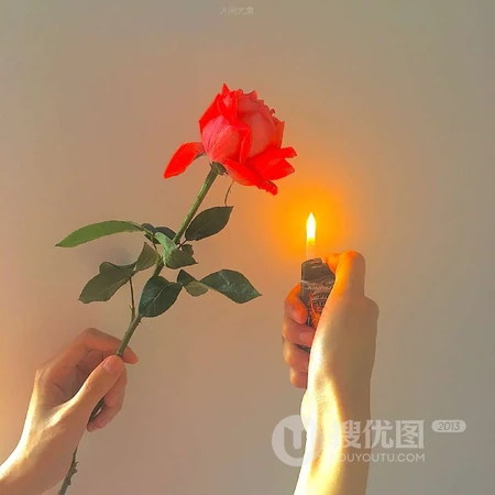 一看就喜欢的ins治愈系暖黄调调的风景，杯子，橙子等超好看微信头像