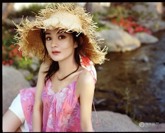 赵丽颖肩带V领印花粉裙坐在公园大石头的花海间浪漫唯美写真集