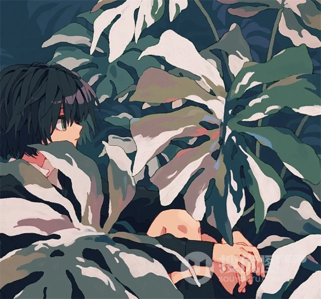 少女插画，花花草草和清新少女，夏日主题唯美清新少女户外插画美景