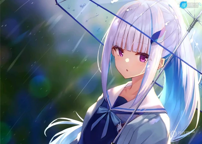 来都来了，随便看看呗，二次元制服，运动衣，女仆装等动漫少女图集