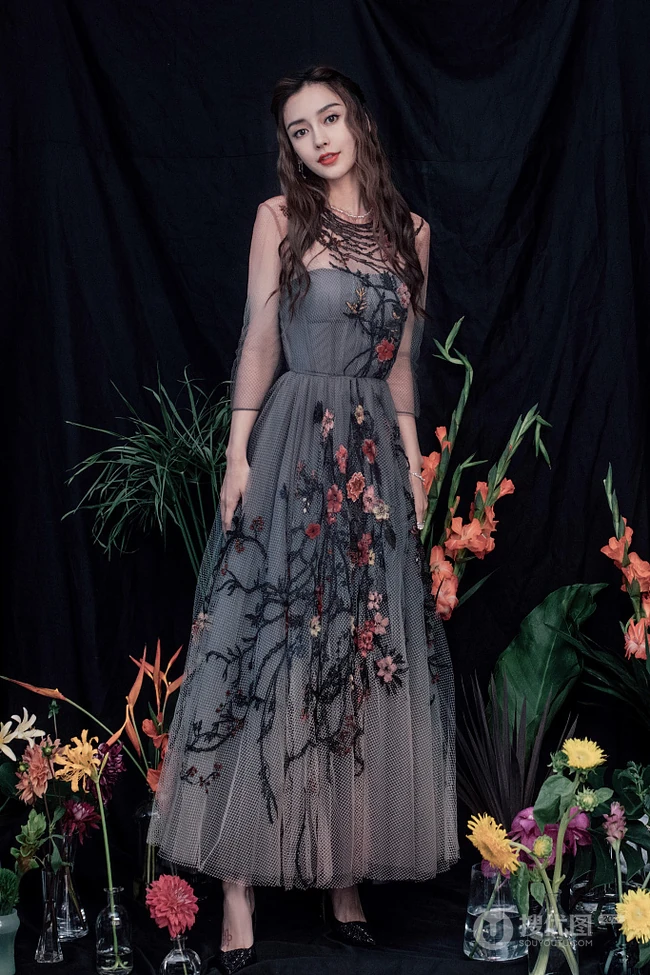 杨颖（Angelababy）轻纱绣花长裙优雅复古写真美照