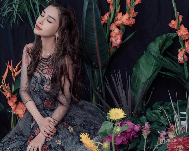 杨颖（Angelababy）轻纱绣花长裙优雅复古写真美照
