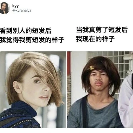 关于剪发的搞笑感慨图片，确实和想象中的发型不太一样啊！