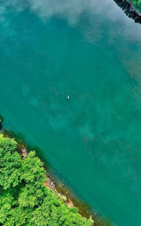 高空俯瞰下的宽大河流，和河边郁郁葱葱的树木景色手机壁纸图片