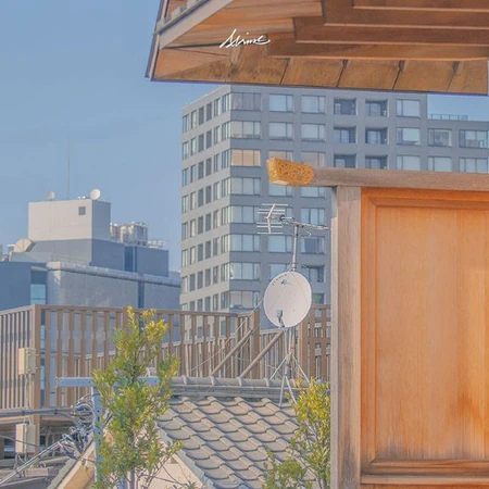 清冷的街道，唯美的画面，日系风格建筑，街道，住宅背景图片