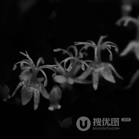 夜太美，唯美夜景，暗黑，黑夜景色，风光，静物，意境微信头像