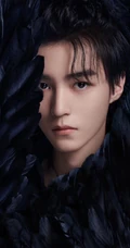 王俊凯、王源、易烊千玺七周年演唱会帅气黑色羽毛写真宣传照