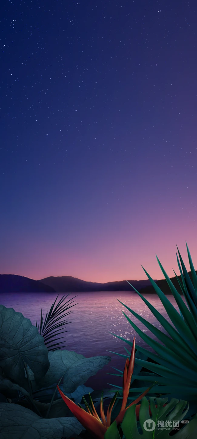 黄昏，波光粼粼的湖面，叶子，星空，山等唯美景色手机壁纸图片