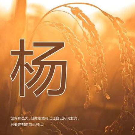 好看的姓氏头像，以暖色稻谷为背景的带字多种姓氏头像图片