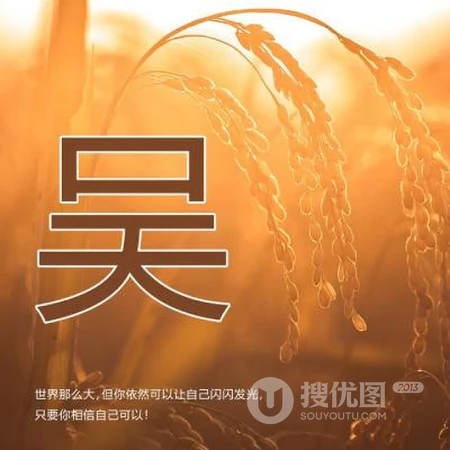 好看的姓氏头像，以暖色稻谷为背景的带字多种姓氏头像图片