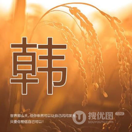 好看的姓氏头像，以暖色稻谷为背景的带字多种姓氏头像图片
