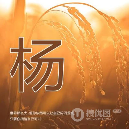好看的姓氏头像，以暖色稻谷为背景的带字多种姓氏头像图片