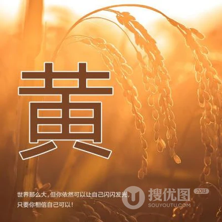 好看的姓氏头像，以暖色稻谷为背景的带字多种姓氏头像图片