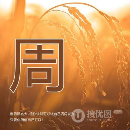 好看的姓氏头像，以暖色稻谷为背景的带字多种姓氏头像图片