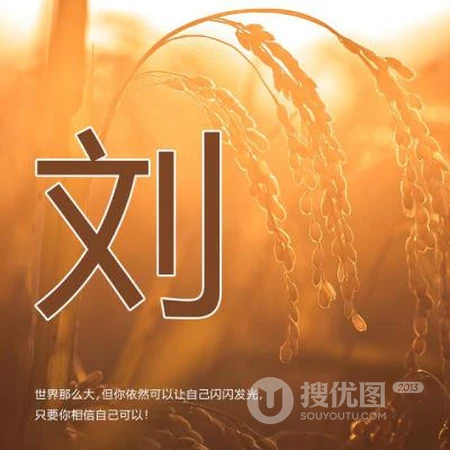 好看的姓氏头像，以暖色稻谷为背景的带字多种姓氏头像图片