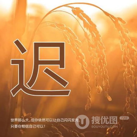 好看的姓氏头像，以暖色稻谷为背景的带字多种姓氏头像图片