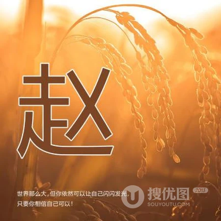 好看的姓氏头像，以暖色稻谷为背景的带字多种姓氏头像图片