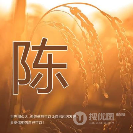 好看的姓氏头像，以暖色稻谷为背景的带字多种姓氏头像图片