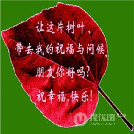 好看有创意的树叶头像，以树叶创造出的有意思超美人物，动物等头像图片