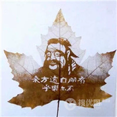 好看有创意的树叶头像，以树叶创造出的有意思超美人物，动物等头像图片