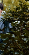 胡一天红花绿叶丛林中唯美森系写真，休闲装着身清爽帅气