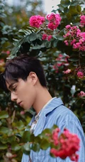 胡一天红花绿叶丛林中唯美森系写真，休闲装着身清爽帅气