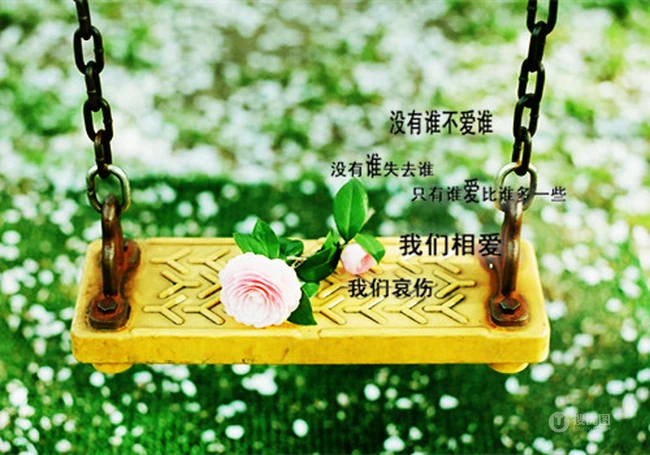 扎心文字背景图，以书本，瓶子，或静物为背景的唯美伤感文字图片 第6张