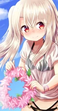 魔法少女伊莉雅美图，FGO动漫人物伊莉雅、美游、小黑精美图集